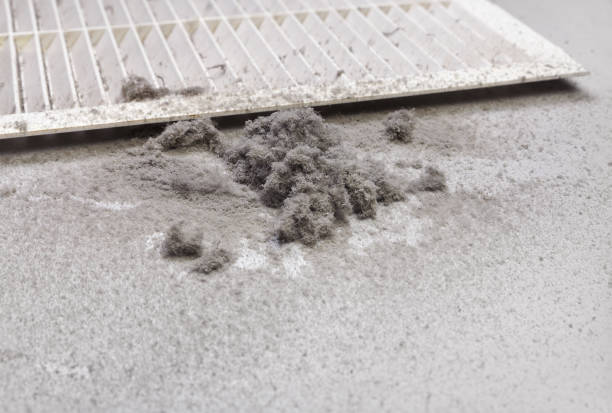 Best Emergency Air Duct Cleaning  in Munster, IN