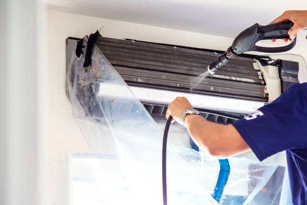 Best Air Duct Mold Removal  in Munster, IN